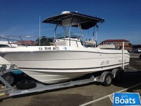 Robalo 230 Cc