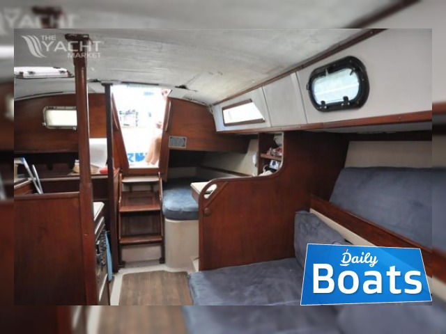 Buy 1980 Irwin Citation