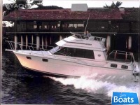 Carver 3207