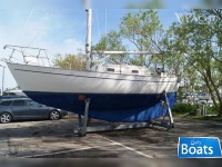 Frances 26 Sloop