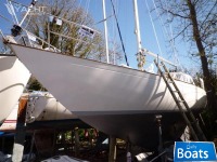 Rustler 31