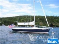 Schock Harbor 20