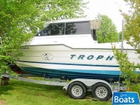 Bayliner 2359 Offshore Trophy