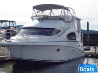Silverton 35
