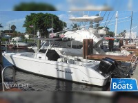 Pro Line 3400 Super Sport Cuddy
