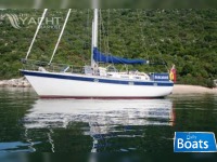 Trident Warrior 38