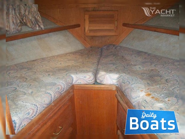 Buy 1988 Silverton 41 Ac