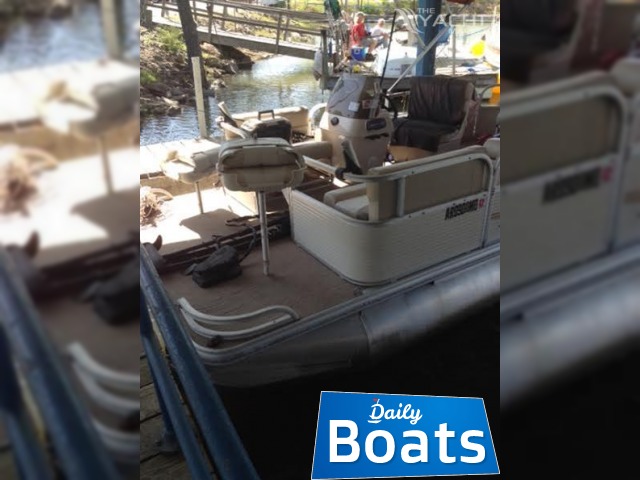 2010 Sun Tracker Bass Buggy in vendita