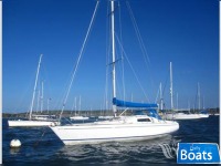 Scampi Mkiv