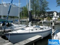 Hunter 31