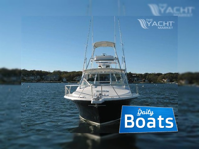 2006 Express Cabo