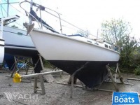Halcyon 27