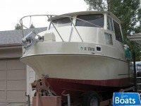 Skipjack Cruiser