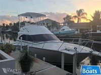 Luhrs 35 Tournament Convertible
