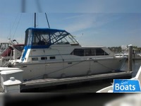 Trojan Tri Cabin