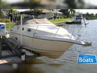 Regal 258 Commodore