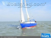 Contessa 26