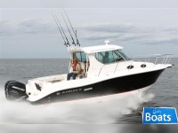 Striper 2901 Walkaround Ob