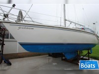 Catalina 36