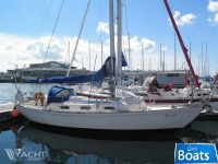 Twister 28