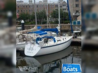 Hunter 31