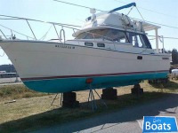 Bayliner 32 Explorer
