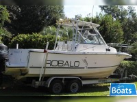 Robalo 2540 Offshore