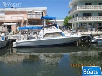 Phoenix Sportfish