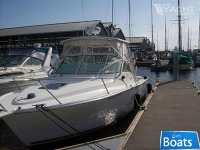 Albemarle 280 Xf