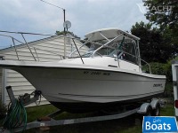 Bayliner Trophy 2002