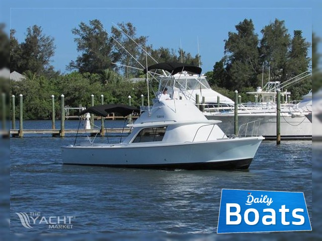 1981 Bertram Flybridge