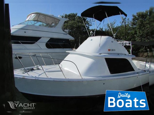 1981 Bertram Flybridge for sale