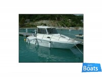 Saver Fisher 22