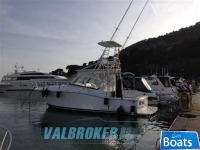 Luhrs 31