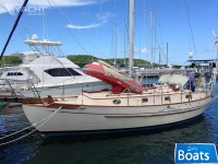Tayana 37