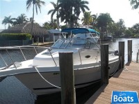 Cobia 260 Walk Around