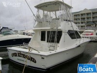 Bertram 390 Convertible