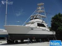 Chris-Craft 42 Tournament