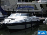Glastron 219