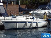 Jaguar 24
