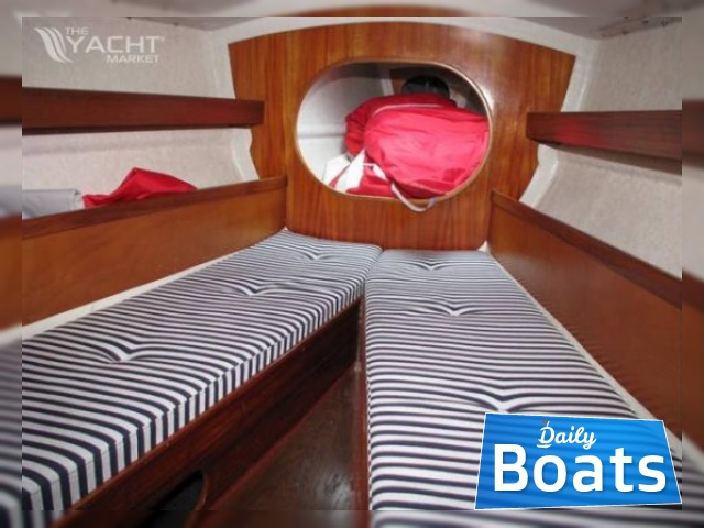Buy 1985 Molich 10 Meter
