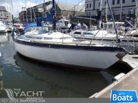 Nicholson 30