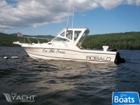 Robalo R2660