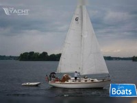 Cape Dory Sloop