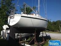Pearson 28