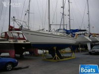 Sadler 29