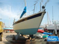 Westerly Griffon