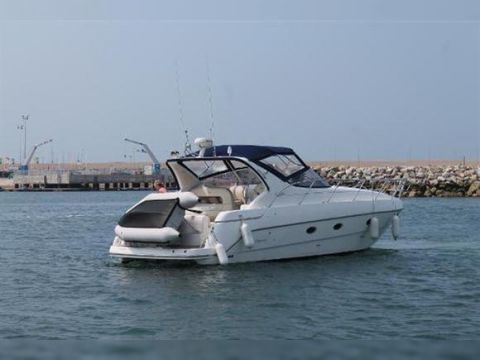 Sessa 40