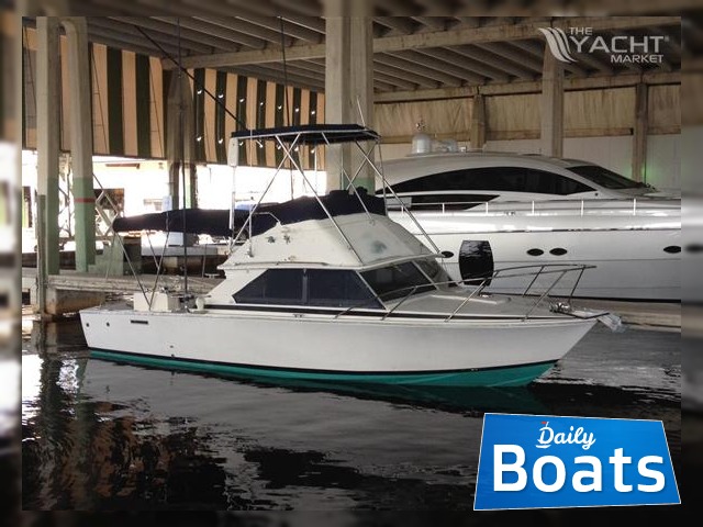 1972 Bertram Sportfish