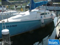 Astraea Sprint 260
